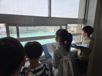 西側を見る様子